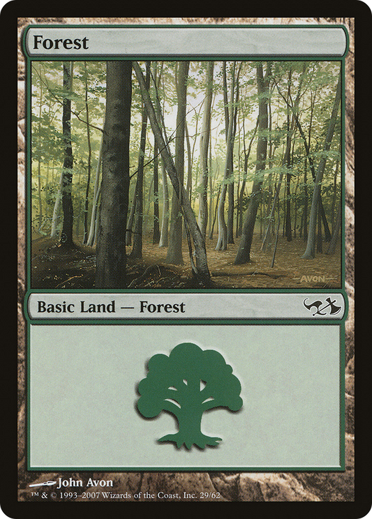 Forest (EVG-029)