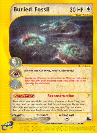 Buried Fossil (SK-047)