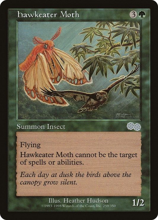 Hawkeater Moth (USG-259)