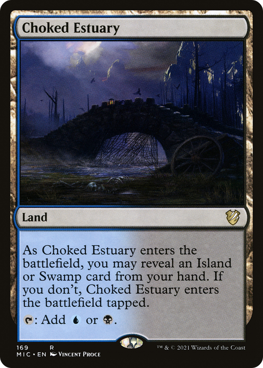 Choked Estuary (MIC-169)