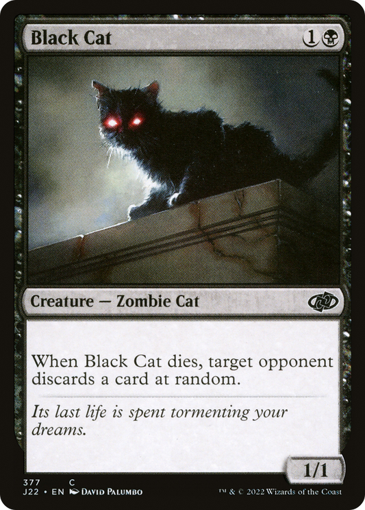 Black Cat (J22-377)