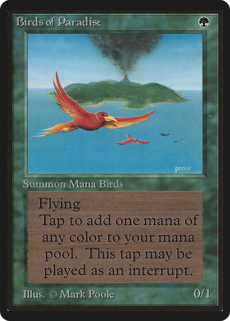 Birds of Paradise (LEB-187)