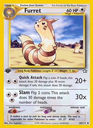 Furret (N1-035) (1st Edition)