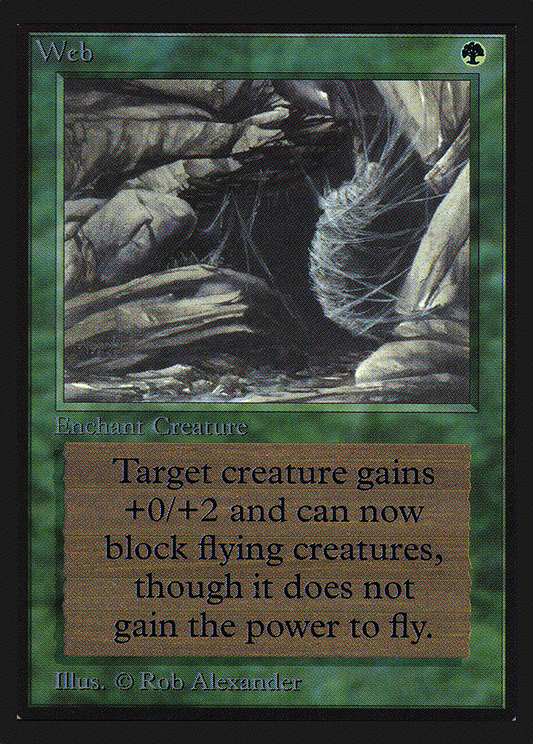 Web (CED-229)