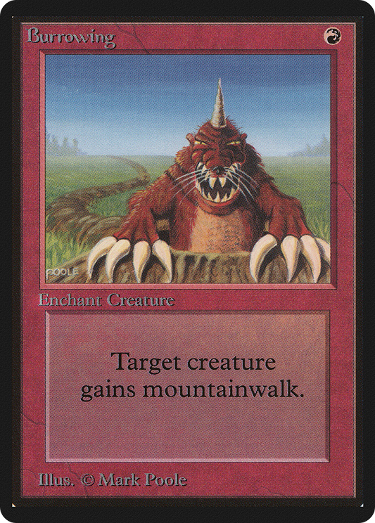 Burrowing (LEB-139)
