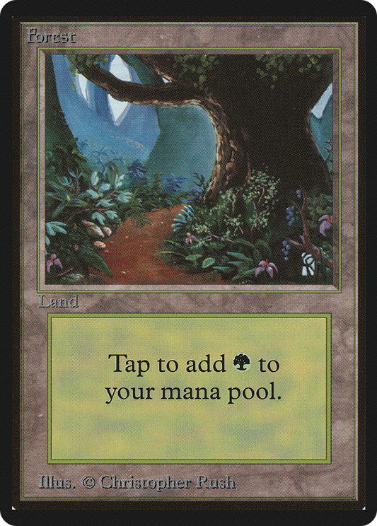 Forest (LEB-301)