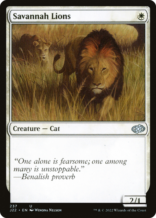 Savannah Lions (J22-237)