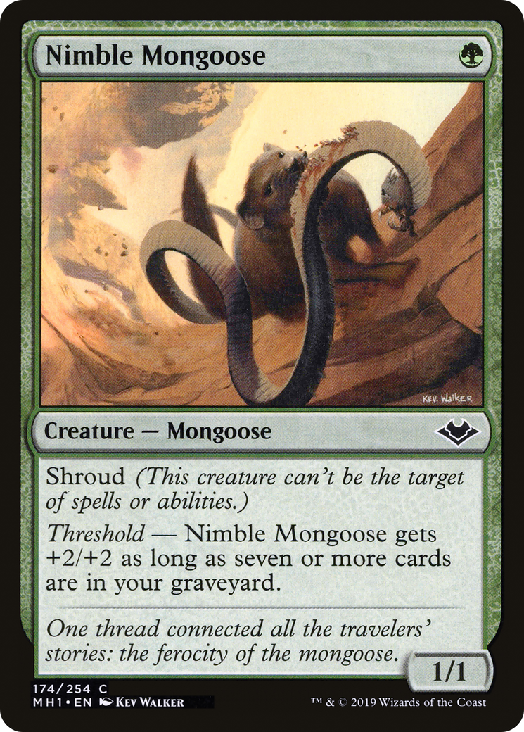Nimble Mongoose (MH1-174)