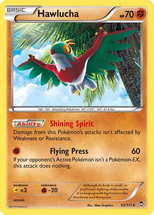 Hawlucha (FFI-063) (Holofoil)