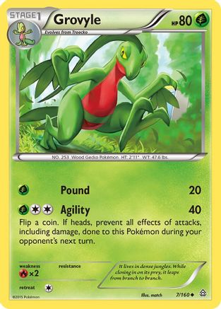 Grovyle (PRC-007)
