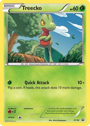 Treecko (PR-) (Holofoil)