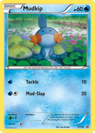 Mudkip (PR-) (Holofoil)