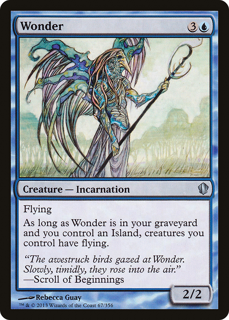Wonder (C13-067)