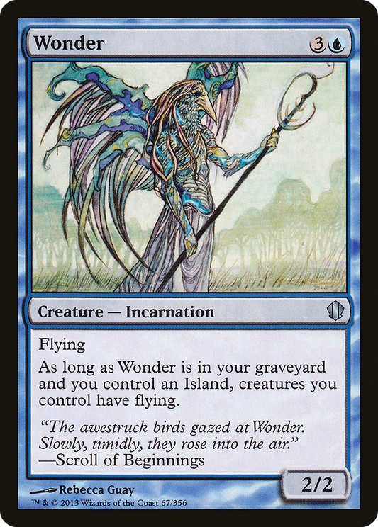 Wonder (C13-067)