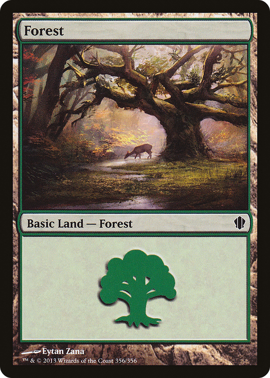 Forest (C13-356)