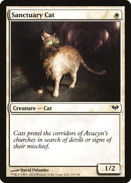 Sanctuary Cat (DKA-019)