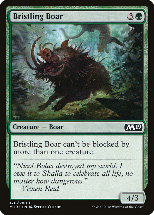 Bristling Boar (M19-170)
