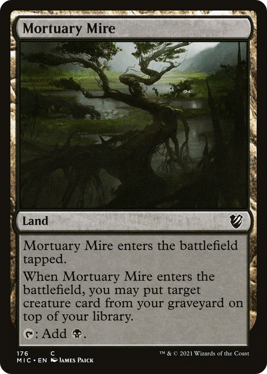 Mortuary Mire (MIC-176)