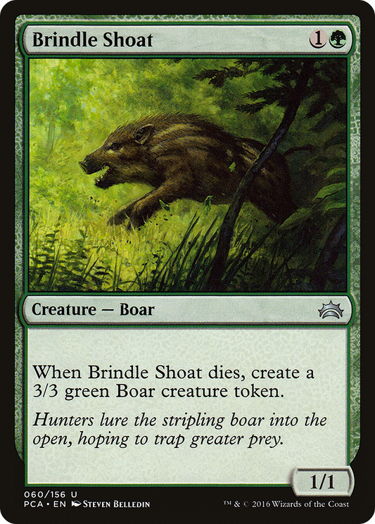 Brindle Shoat (PCA-060)