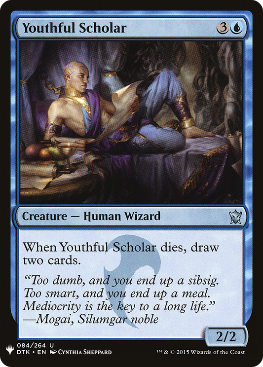 Youthful Scholar (LIST-DTK-84)