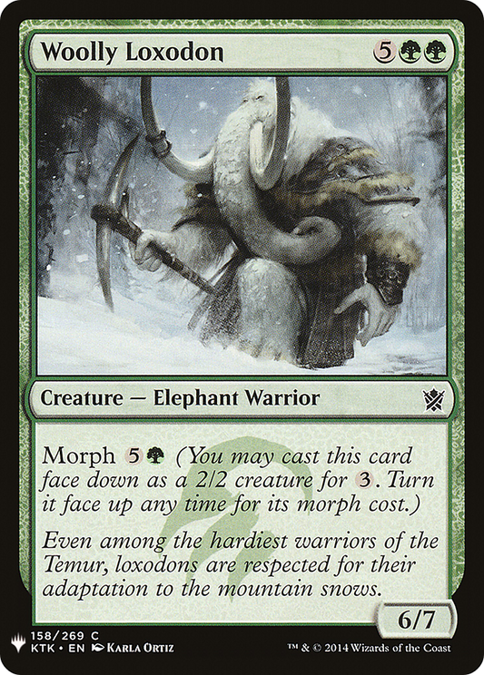 Woolly Loxodon (LIST-KTK-158)