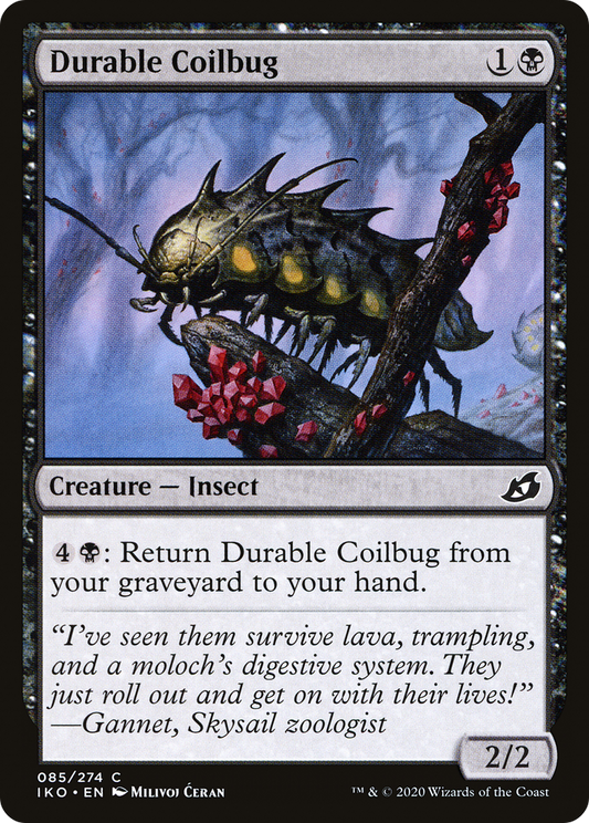 Durable Coilbug (IKO-085)