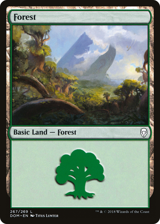 Forest (DOM-267)