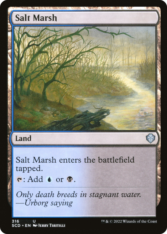 Salt Marsh (SCD-316)