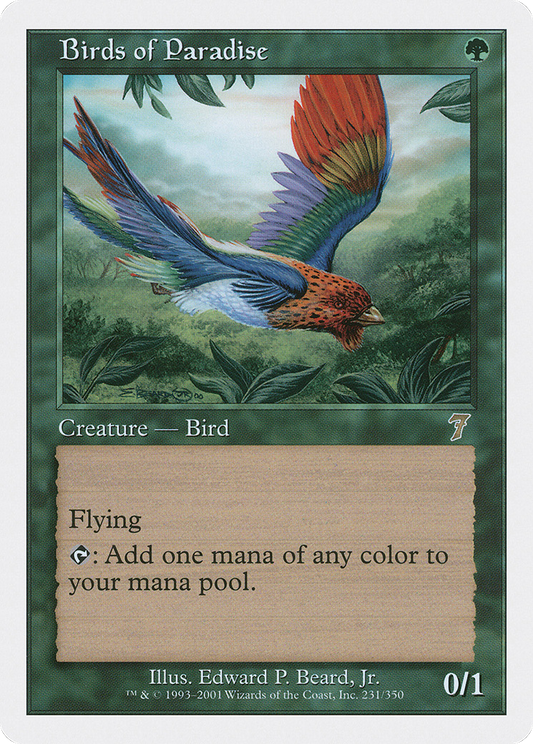 Birds of Paradise (7ED-231)