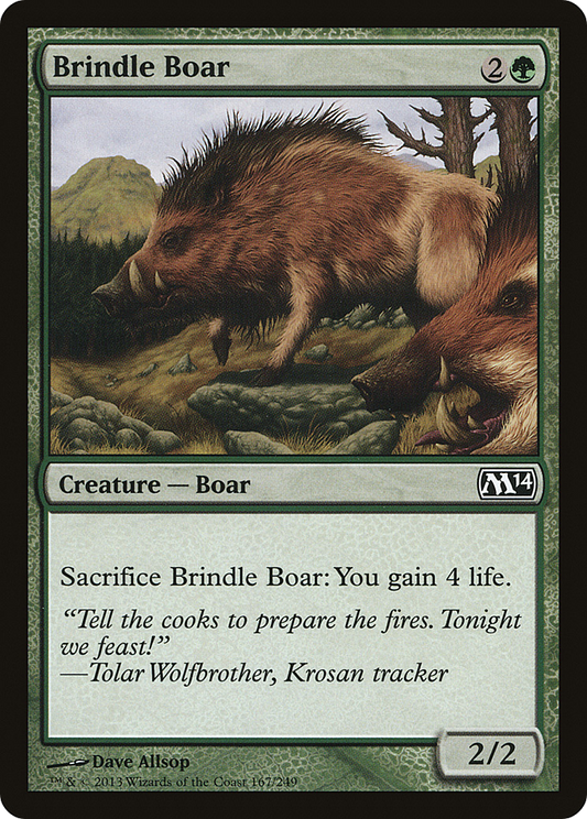 Brindle Boar (M14-167)