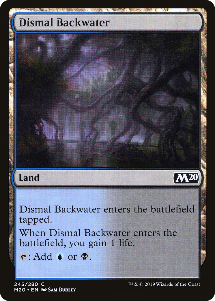 Dismal Backwater (M20-245)