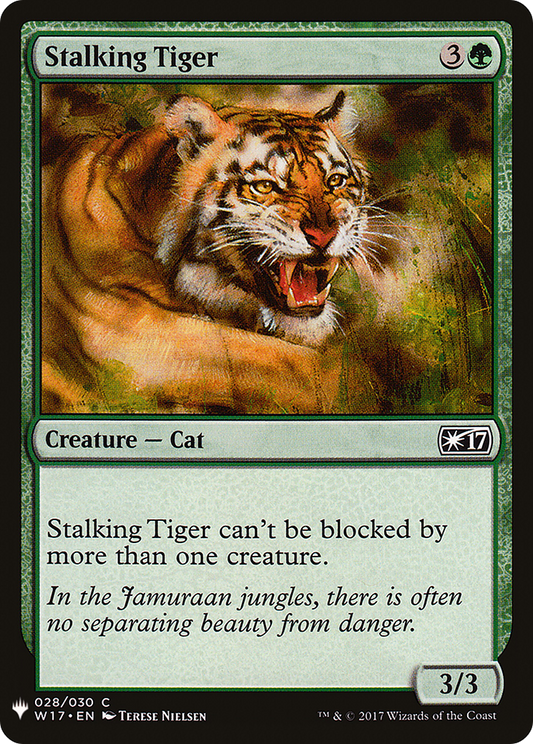 Stalking Tiger (LIST-W17-28)