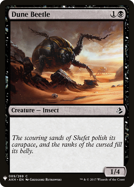 Dune Beetle (LIST-AKH-89)