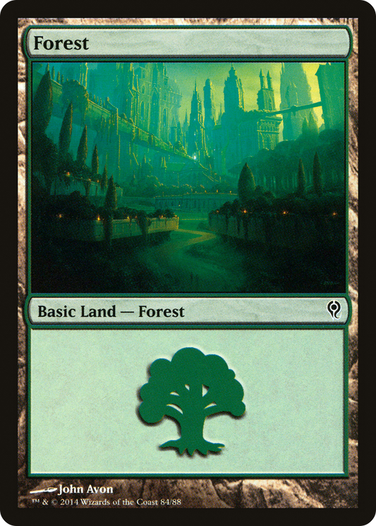 Forest (DDM-084)
