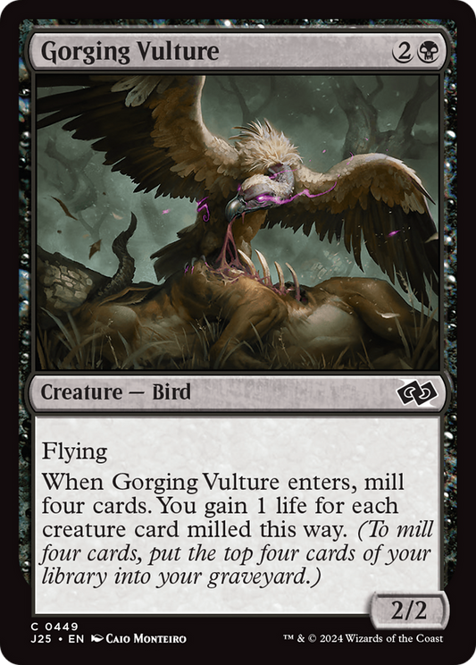 Gorging Vulture (J25-449)