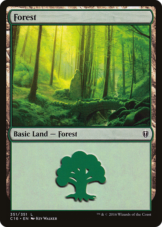 Forest (C16-351)