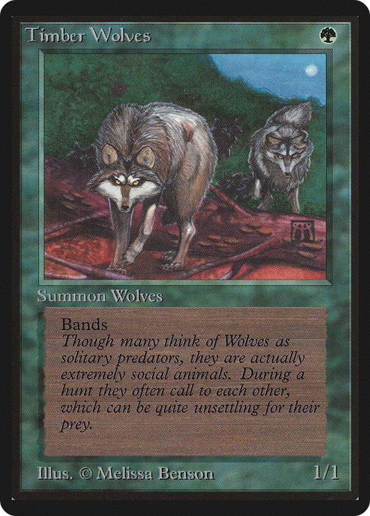Timber Wolves (LEB-220)