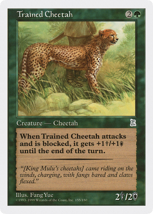 Trained Cheetah (PTK-154)