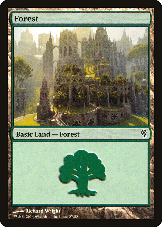 Forest (DDM-087)