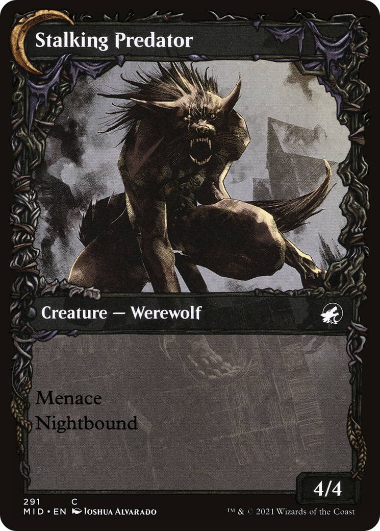 Shady Traveler // Stalking Predator (MID-291) (Showcase) (Foil)