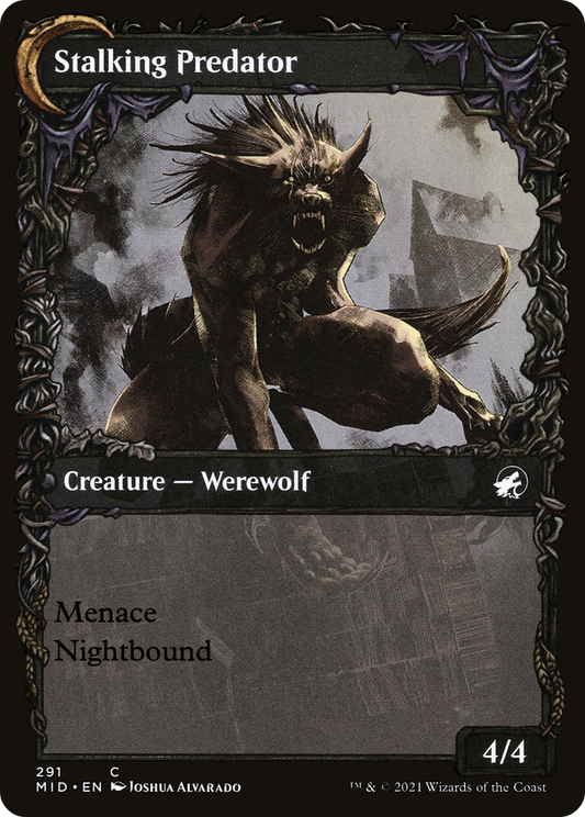 Shady Traveler // Stalking Predator (MID-291) (Showcase) (Foil)