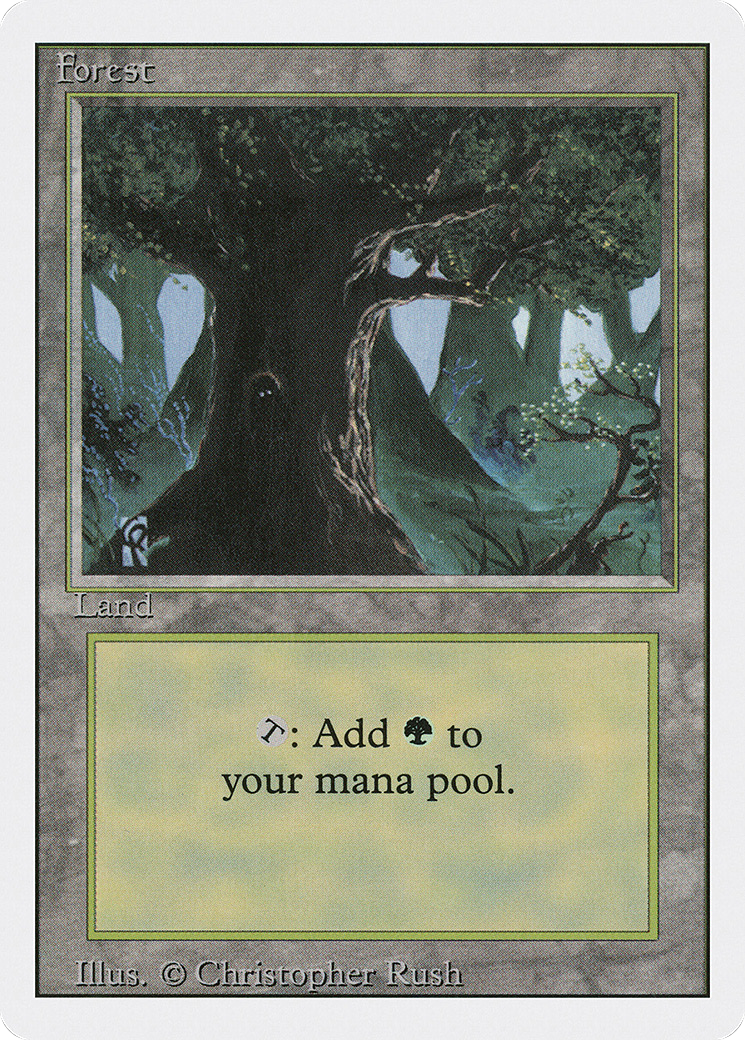 Forest (3ED-306)