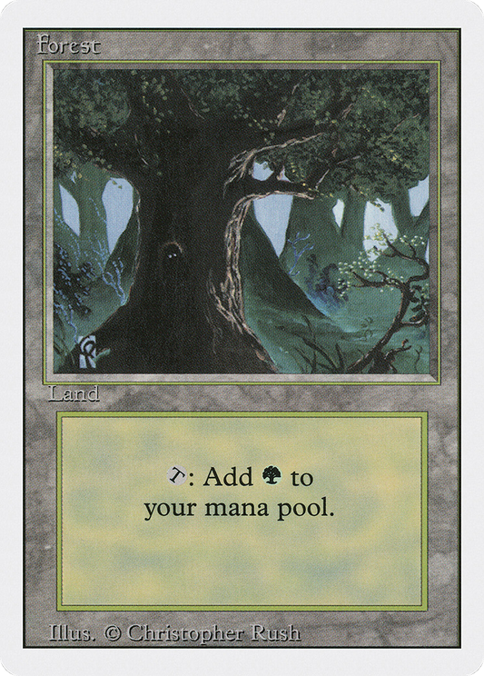 Forest (3ED-306)
