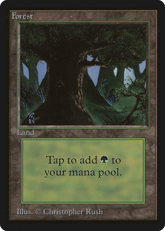 Forest (LEB-302)