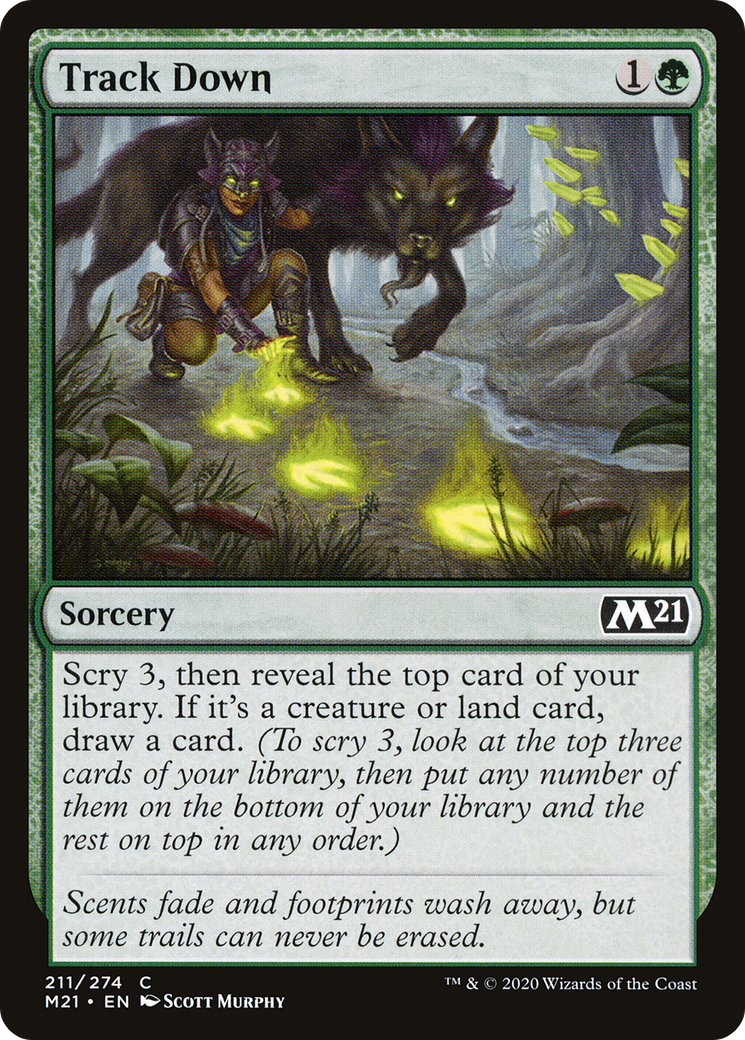 Track Down (M21-211) (Foil)
