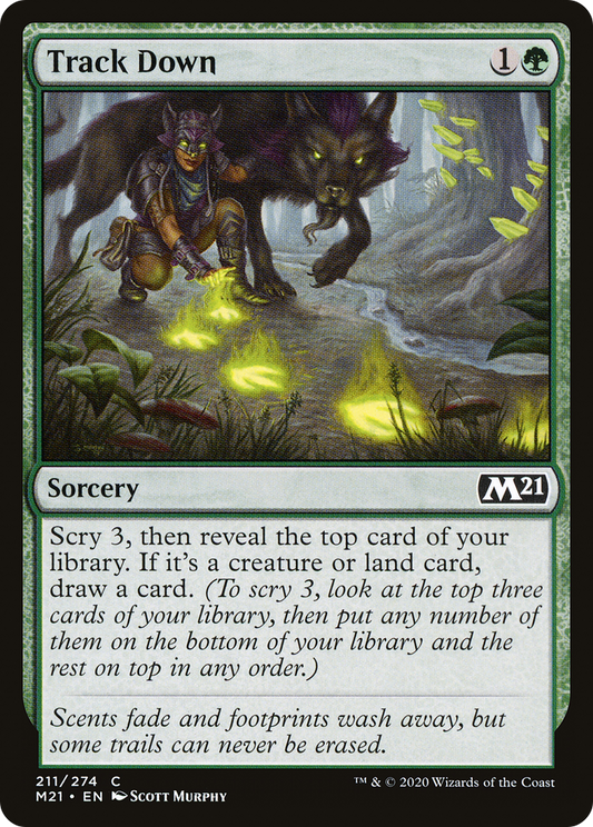 Track Down (M21-211) (Foil)