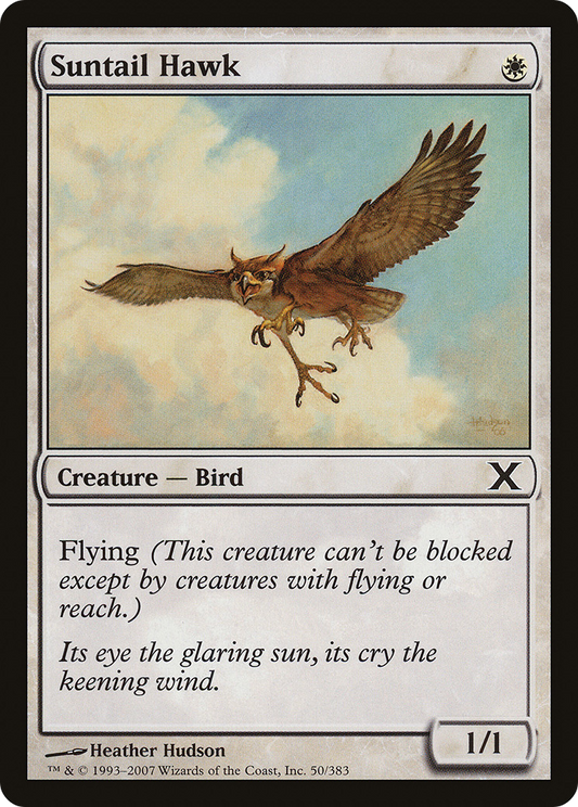 Suntail Hawk (10E-050)