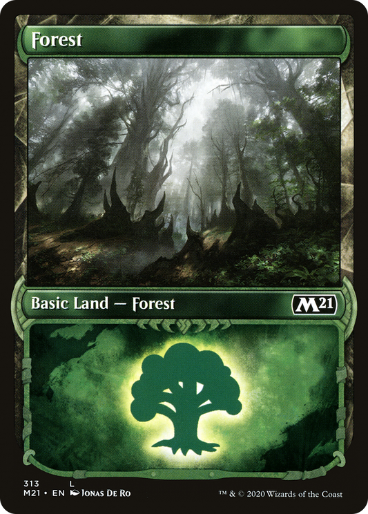 Forest (M21-313) (Showcase) (Foil)