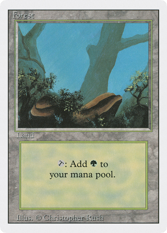 Forest (3ED-304)