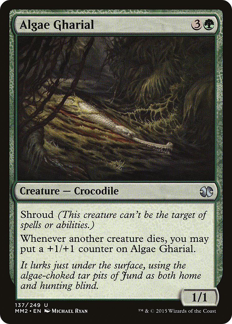 Algae Gharial (MM2-137)